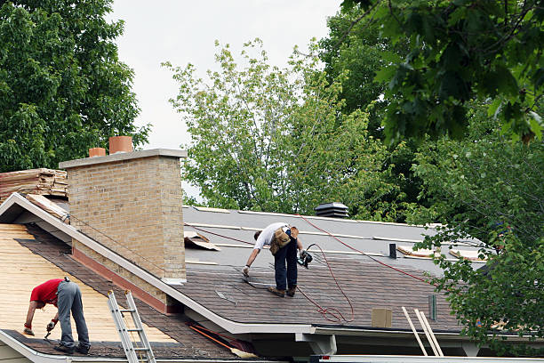 Best Metal Roofing Contractor  in Meadowbrook, VA