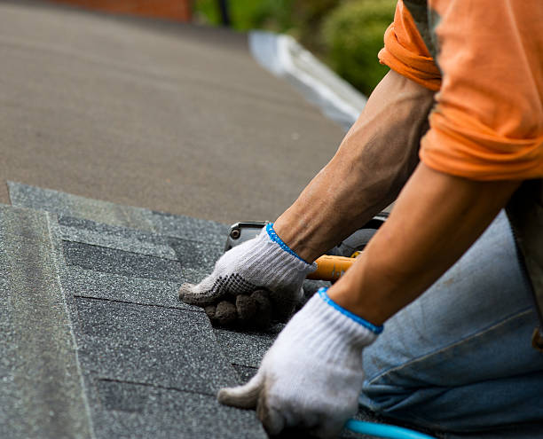 Best Shingle Roofing Installation  in Meadowbrook, VA
