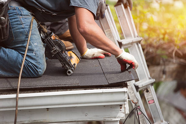 Best Metal Roofing Contractor  in Meadowbrook, VA