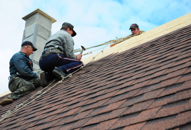 Best Roof Repair Services  in Meadowbrook, VA